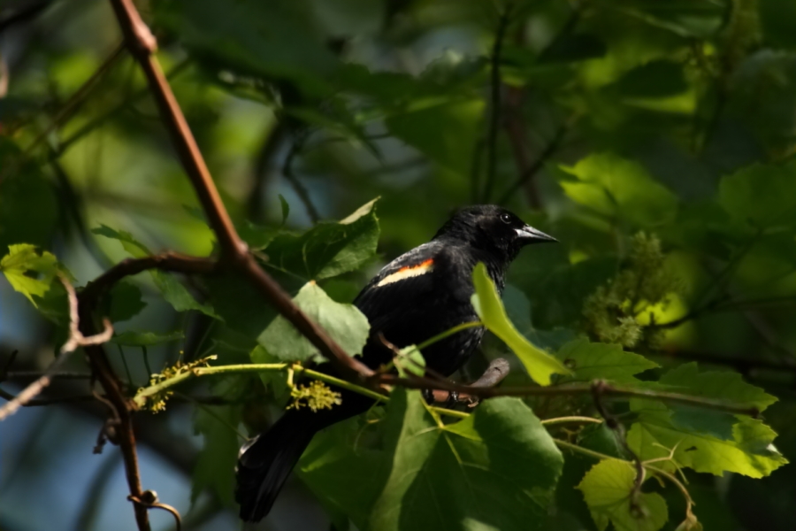 2013 06 14 IMG 10705